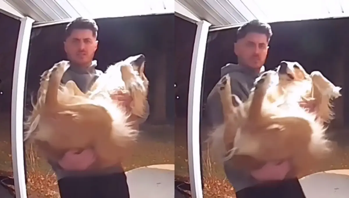 Hombre le advierte a su amigo que peleará por la custodia de su perrita