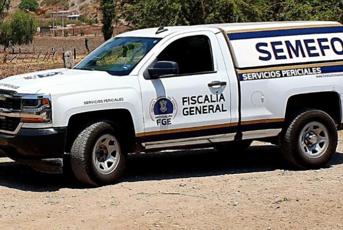 Hombre pierde la vida al caer de un árbol, en Múgica