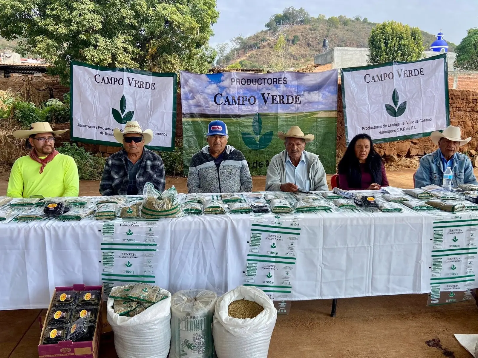 Huaniqueo busca rescatar la producción de lenteja mediante el Plan Michoacán