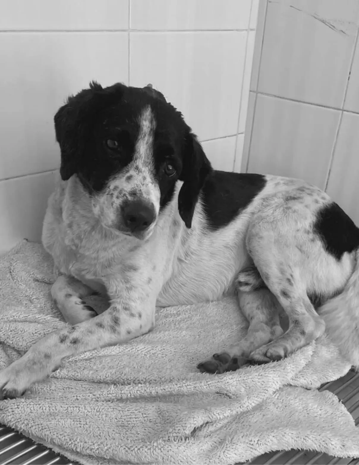 “Huesitos” sigue esperando justicia