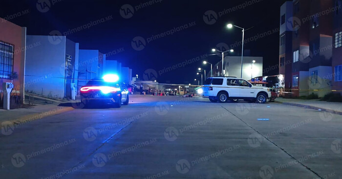 Identifican a madre y bebé atropellados en Villas del Pedregal