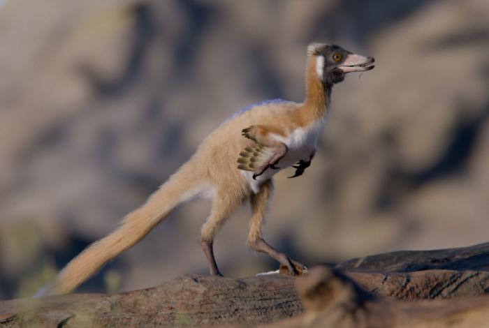 Identifican en Argentina el 'eslabón perdido' de un misterioso grupo de dinosaurios