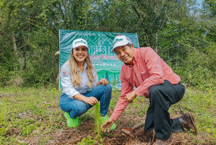 Impulsa Dayana Pérez el Medio Ambiente con la plantación de 2,500 pinos en Salvador Escalante