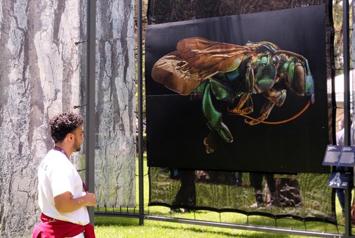 Inauguran exposición internacional “Insectus” en el Zoológico de Morelia