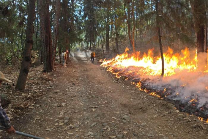 Incendio forestal consume amplia zona boscosa en Tzitzio