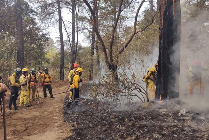 Incendio forestal en San José del Rincón, en Zinapécuaro, ha dañado 76 hectáreas
