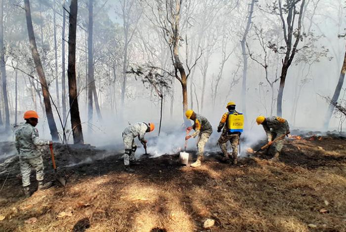 Incendio forestal en Tzitzio afecta 268 hectáreas; Ejército aplica el Plan DN-III-E