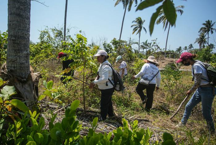 Informe AI 2025: Aumentan desapariciones y acoso judicial en México