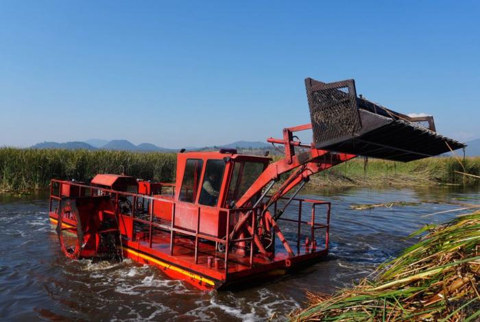 Inicia la rehabilitación estratégica del canal de Jarácuaro en el lago de Pátzcuaro