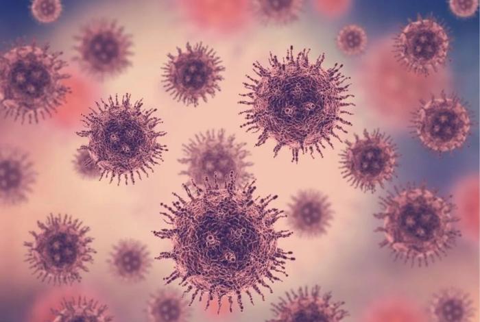 Innovación en terapia contra el cáncer: bacterias y virus unidos