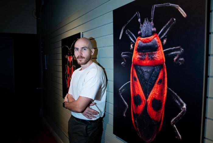 ‘Insectos al detalle’: Macrofotografía para descubrir a los pequeños vecinos urbanos