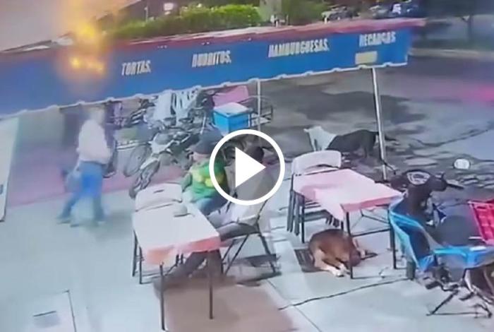 Investigan a presunto agr3sor de perros en Tanhuato; les arrojó agua hirviendo