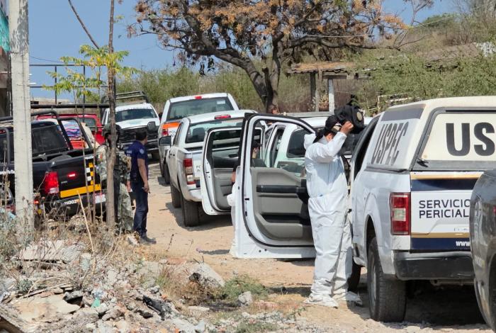 Jauría acaba con la vida de una mujer en la colonia Tres de Agosto
