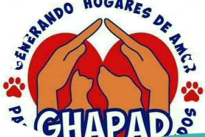 Juegos pirotécnicos disparan 70% reportes de perros extraviados: GHAPAD