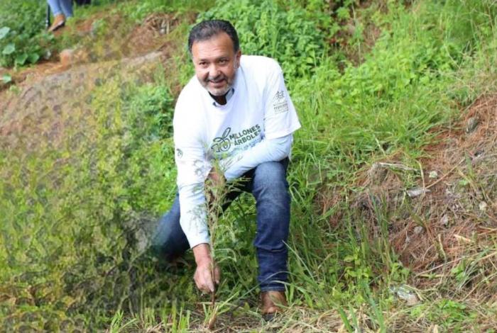 Julio Arreola encabeza jornada de reforestación con más de 2 mil ahuehuetes en Urandén