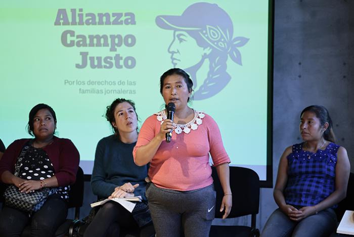 La exclusión y la precariedad laboral persisten en el campo mexicano, denuncian jornaleras