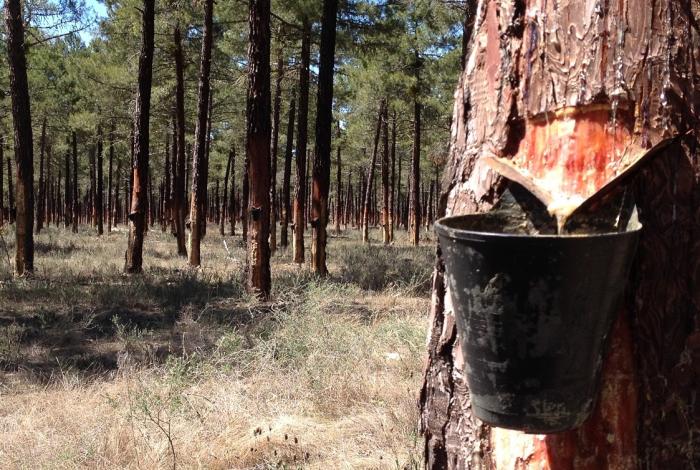 La muerte de Modesto Gutiérrez y otras muertes