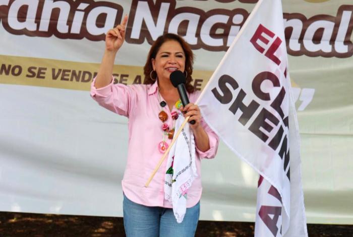 La transformación se traduce en bienestar para 42 millones de mexicanas y mexicanos: Fabiola Alanís