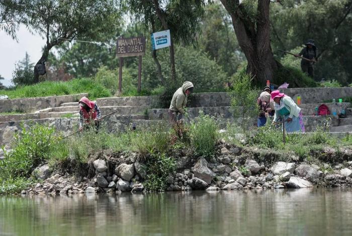 Lago de Pátzcuaro renace con 5 nuevos manantiales en Urandén: Compesca