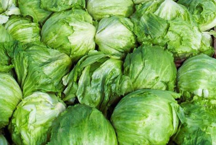 Lechugas mexicanas de Taylor Farms, libres de ciclosporiasis: Secretaría de Salud