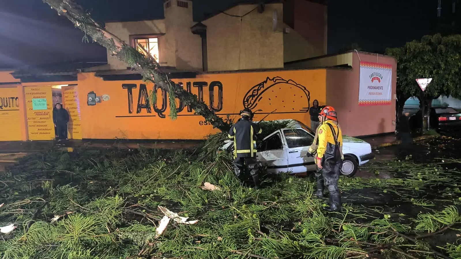 Les cayó el árbol encima, sobreviven de milagro