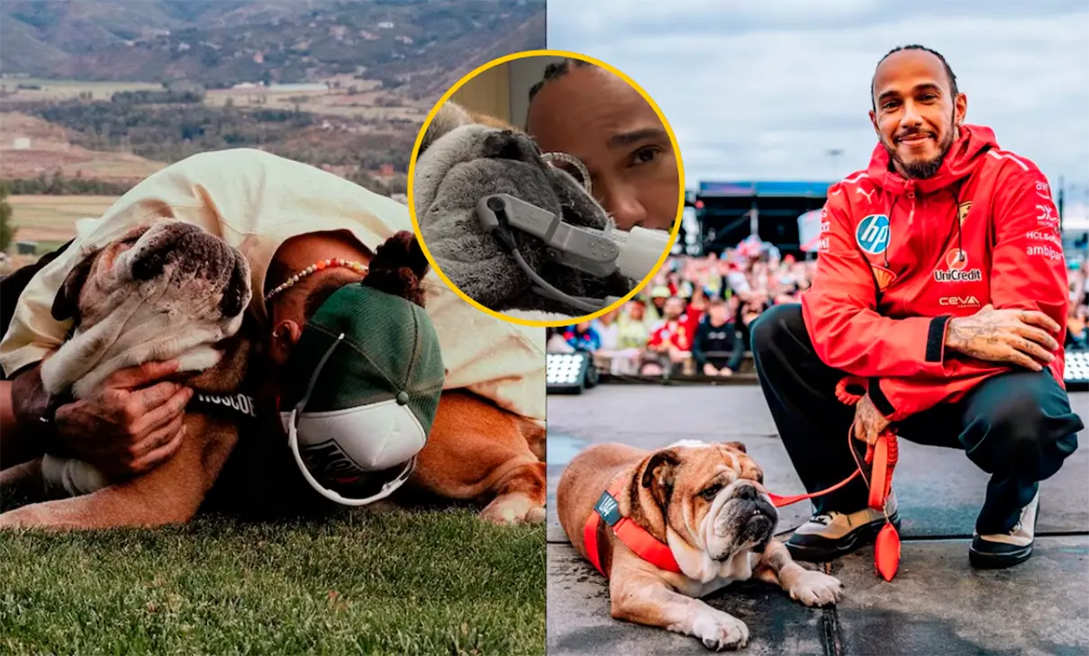Lewis Hamilton se despide de su inseparable compañero Roscoe