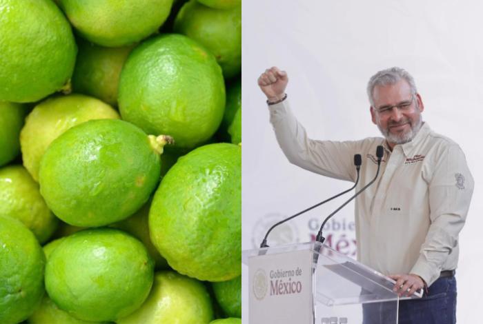 ¡Líder nacional! Michoacán supera el millón de toneladas de limón al año: Bedolla