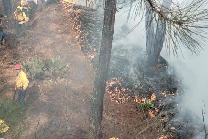 Liquidados 3 incendios en Aguililla, Lagunillas y Pátzcuaro: Cofom