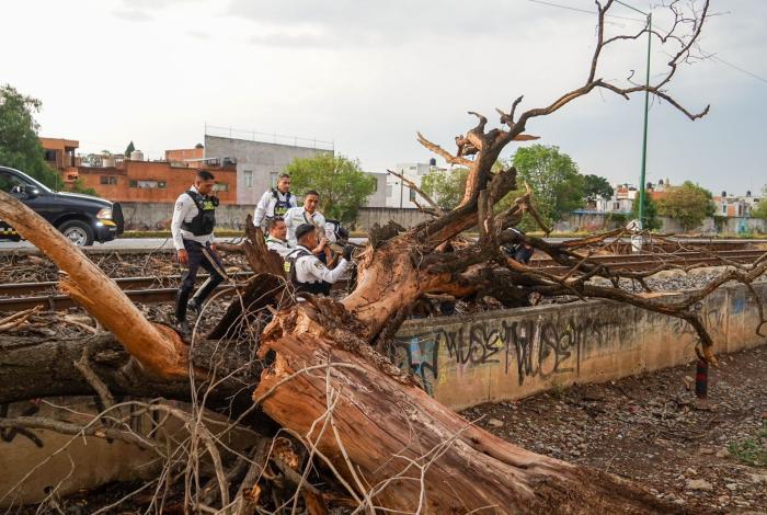 Lluvias dejan árboles caídos en Morelia y fuertes encharcamientos
