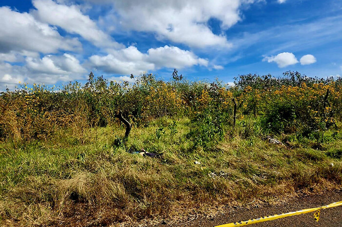 Localizan a 2 hombres ejecutados a un costado de la carretera, en Tangamandapio