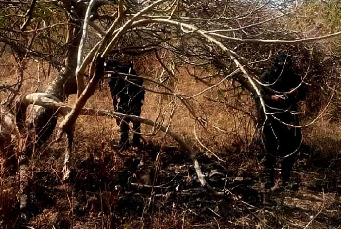  Localizan restos humanos semienterrados en fosa de Jacona