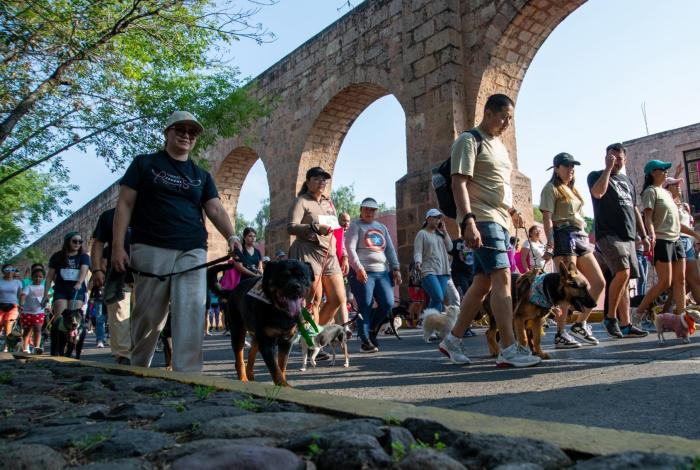 Lomitos toman las calles de Morelia en el Perrally 2026