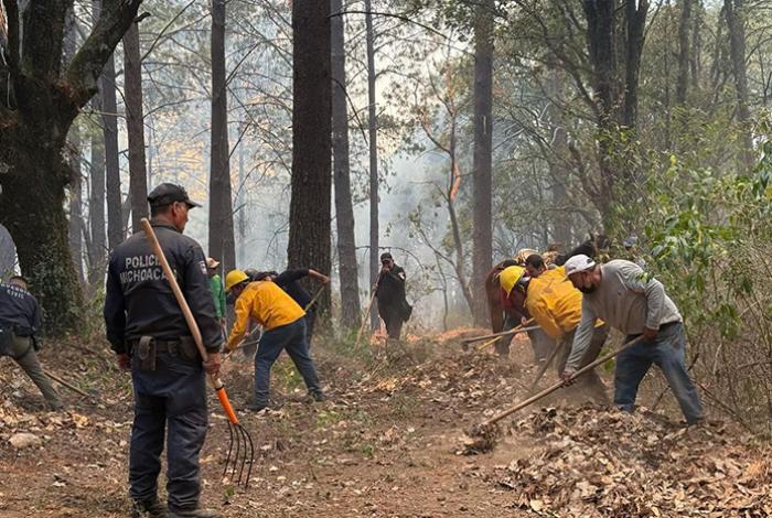 Los bosques tropicales han demostrado soportar las sequías, aunque cada vez más severas
