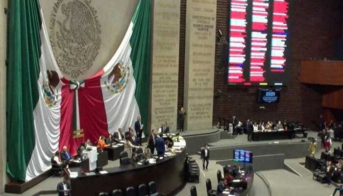 Los temas del periodo extraordinario de la Cámara de Diputados