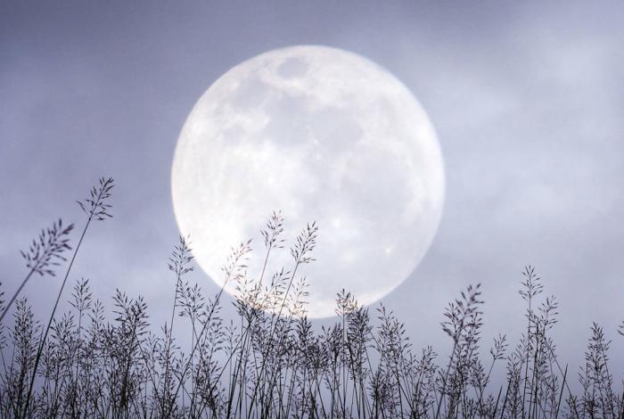 Luna de Nieve, insólito fenómeno que iluminará todo México en febrero