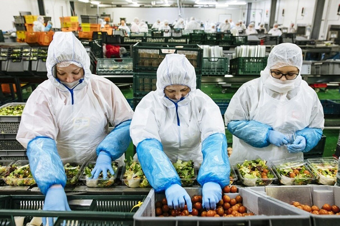Más de 300 empresas mexicanas exploran oportunidades agroalimentarias en Europa