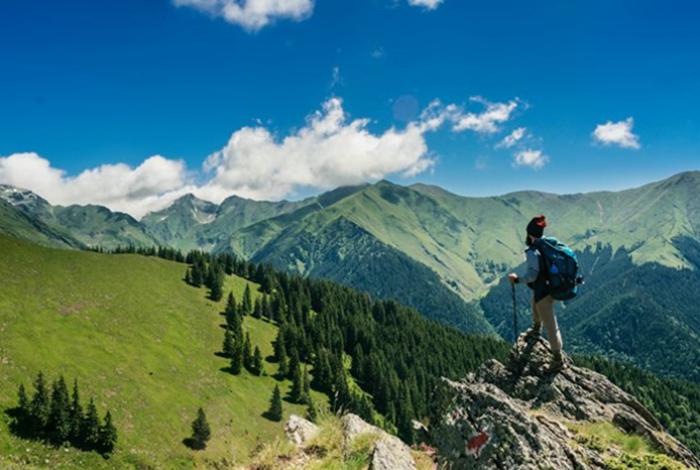 Mejores seguros de viaje: cómo elegir el adecuado para tu próxima aventura