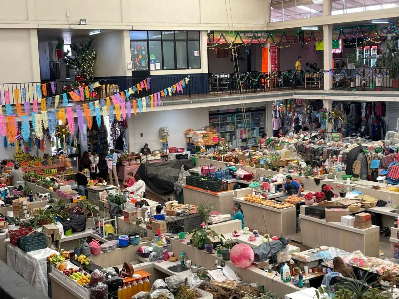 Mercado Nicolás Bravo, abandonado por sus clientes