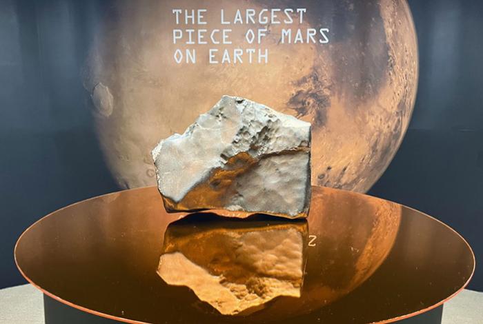 Meteorito marciano NWA 16788 y un raro Ceratosaurus juvenil se subastan millones de dólares