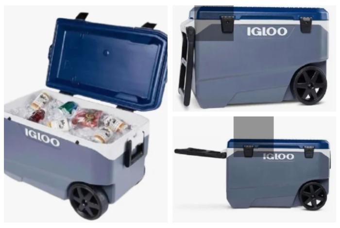 México alerta a 28 mil propietarios que compraron esta hielera que pellizca las yemas