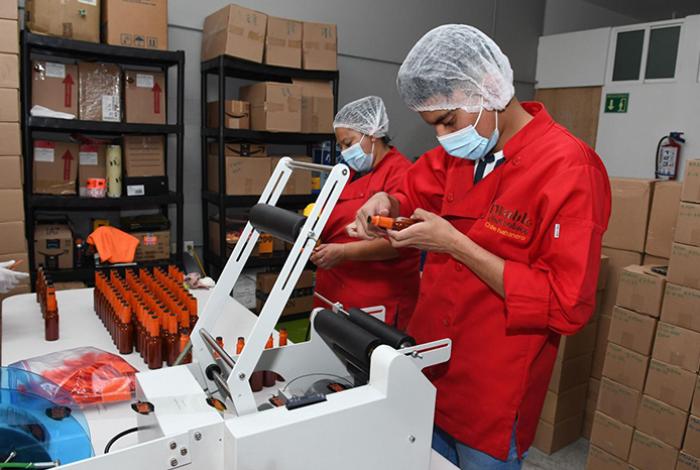 México creó más de 87 mil empleos formales en la primera mitad del año