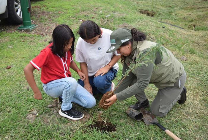  Michoacán alcanza meta histórica con más de 10 millones de árboles plantados en 2025