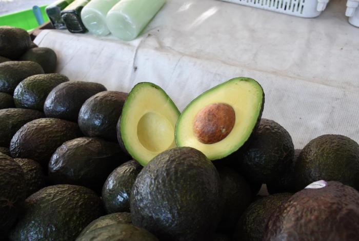 Michoacán cosechó un millón 460 mil tons de aguacate en 2025-2026
