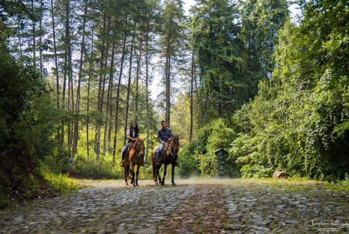 Michoacán, destino ideal para vivir en Día del Amor y la Amistad