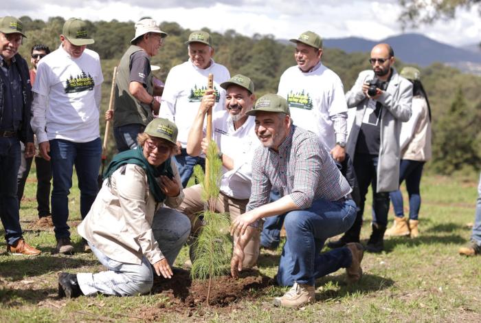 Michoacán, en la Jornada Nacional de Reforestación con 13 millones de árboles