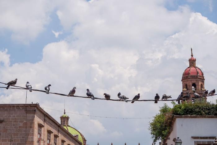 Michoacán entre nubes y lluvias vespertinas, este sábado