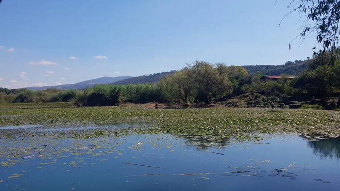 Michoacán: Hasta 20% de pérdida de humedales