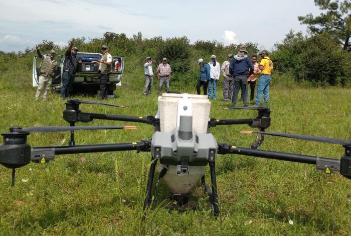 Michoacán rebasa su meta al dispersar 204 mil semillas con tecnología de drones