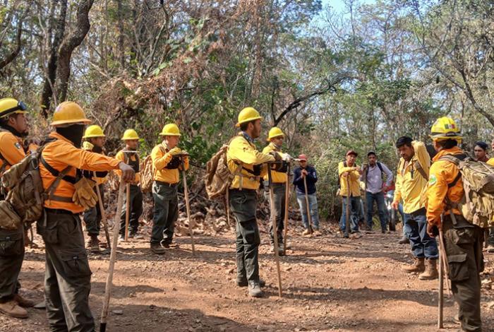 Michoacán reduce más del 44 % la superficie afectada por incendios forestales