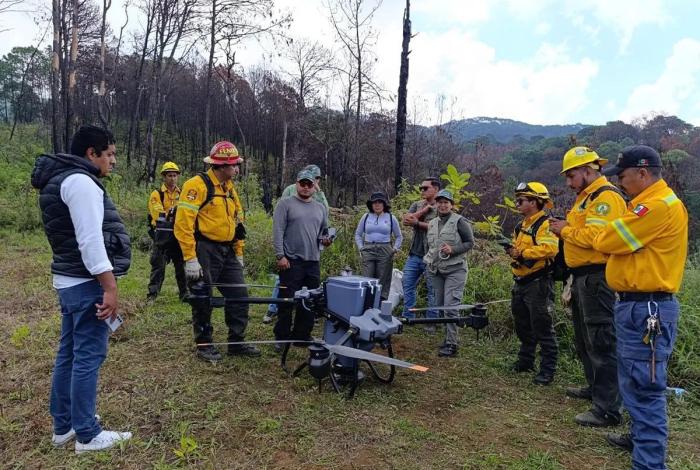 Michoacán siembra con drones 24 mil semillas de árboles en Paracho y Uruapan